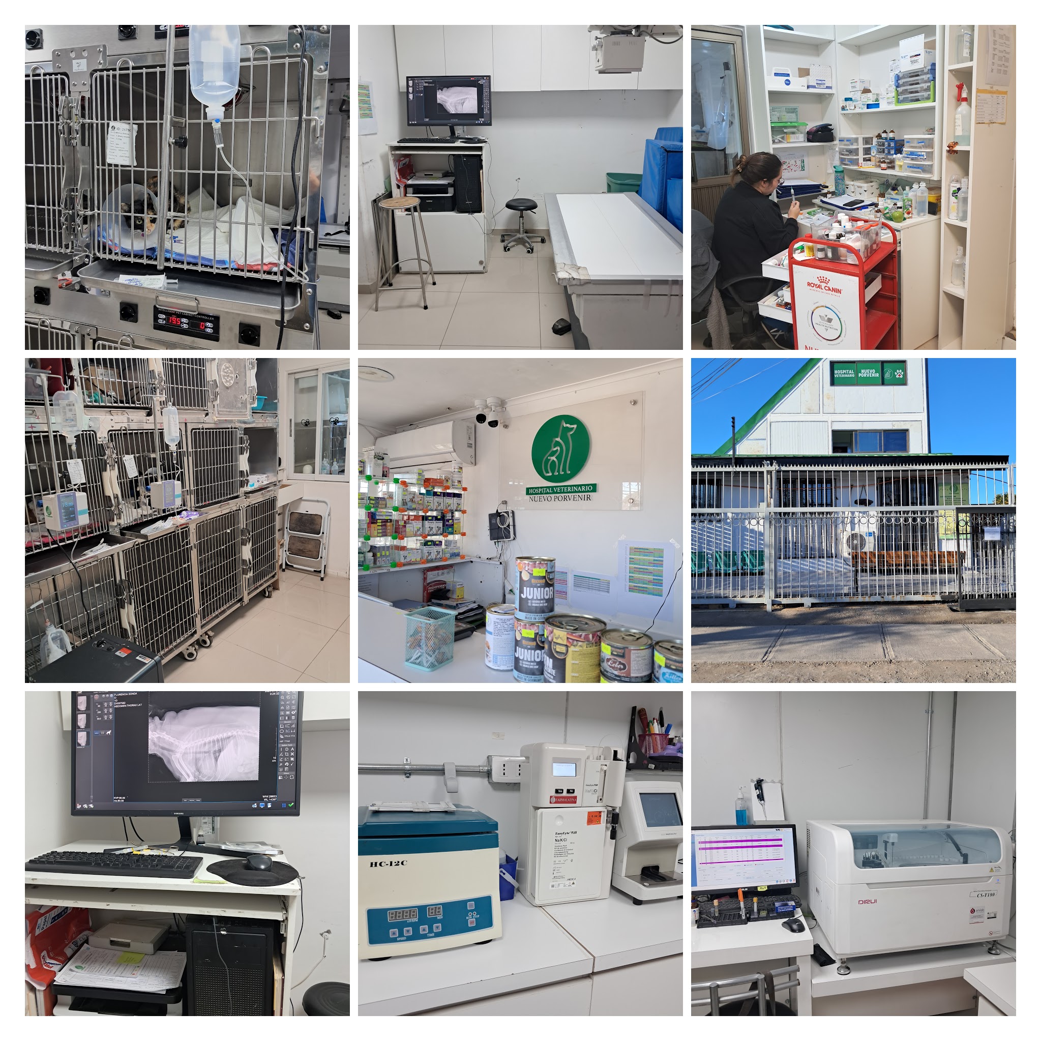 COLLAGE HVNP